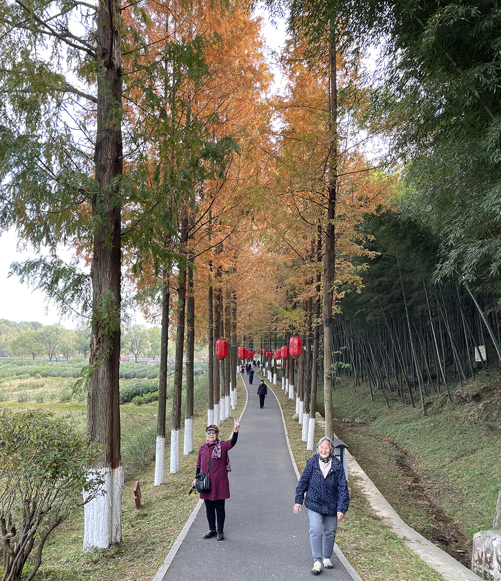 盛鸿国际(中国游) - 官方网站