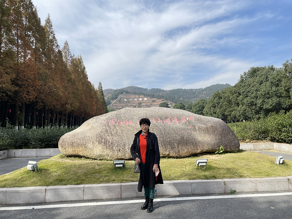 盛鸿国际(中国游) - 官方网站