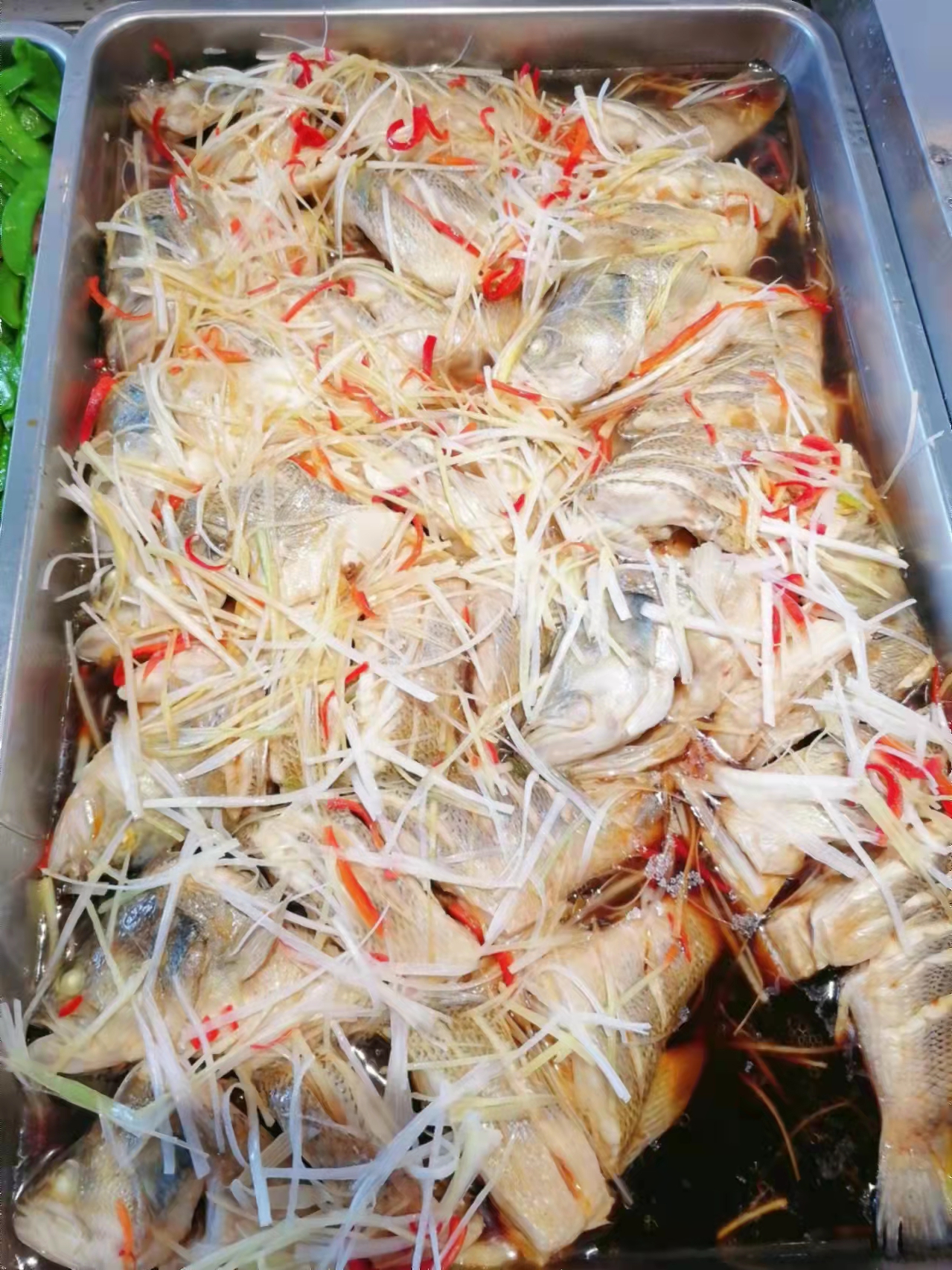 盛鸿国际(中国游) - 官方网站