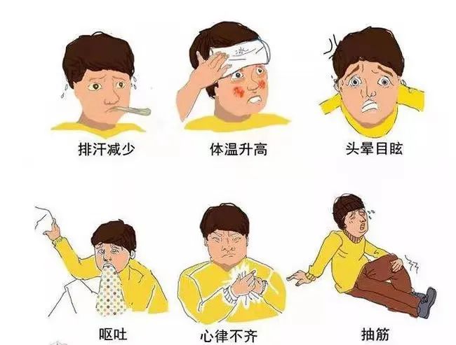 盛鸿国际(中国游) - 官方网站