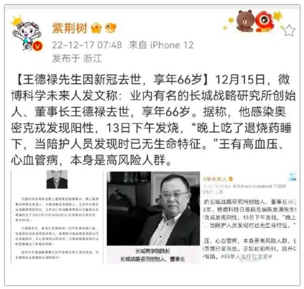 盛鸿国际(中国游) - 官方网站